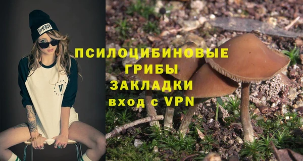 2c-b Балахна