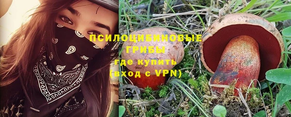 каннабис Коряжма